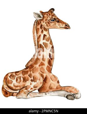 Illustration de girafe d'aquarelle, animal tropical de Cartoon, exotique été jungle design.main dessiné. Design pour fête de douche de bébé, anniversaire, gâteau, Banque D'Images