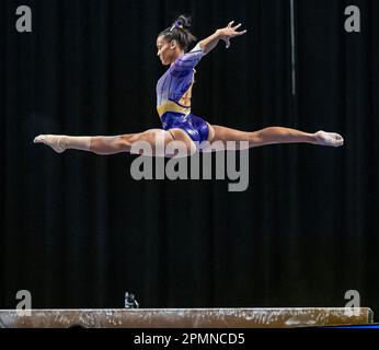 Fort Worth, États-Unis. 13th avril 2023. Haleigh Bryant de l'Université d'État de Louisiane a été placé en deuxième position sur le faisceau de balance lors de la première séance des demi-finales avec un score de 9,9375 et a aidé l'USH à se qualifier pour les finales des demi-finales des Championnats de gymnastique des femmes de la NCAA à Dickie's Arena, fort Worth, Texas, on 13 avril 2023 (Photo de Jeff Wong/Sipa USA). Credit: SIPA USA/Alay Live News Banque D'Images