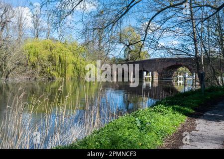 Vue printanière sur le pont de Sonning au-dessus de la Tamise lors d'une journée ensoleillée à Sonning-on-Thames, Berkshire, Angleterre, Royaume-Uni Banque D'Images