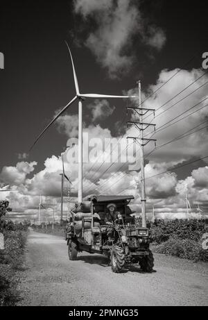 Des éoliennes géantes s'élèvent au-dessus des plantations d'arbres à café, tandis qu'une remorque-tracteur transporte des sacs de cerises de café sur le plateau des Highlands centraux o Banque D'Images