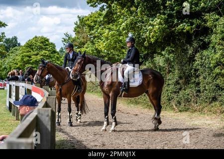 Pistes hippiques Hickstead 2022 Banque D'Images