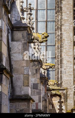 02 avril 2023, Utrecht, pays-Bas, St. La cathédrale de Martin, Utrecht, ou l'église Dom, est une église gothique dédiée à Saint Martin de Tours Banque D'Images