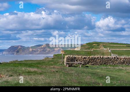 Vieux murs en pierre, clôtures et bancs le long de la voie de la côte sud-ouest sur les falaises près de Burton Bradstock sur la côte jurassique à Dorset. Banque D'Images