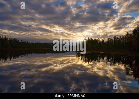Soirée dans la taïga. Lac avec forêt et ciel bleu crépuscule. Paysage du nord de l'Europe, Kuhmo en Finlande. Arbre en forêt, Finlande, Europe. Banque D'Images