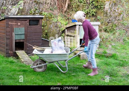 Une femme âgée laiteuse jardin cour avec brouette et nettoyage poulet hangar maison de poule dans cour de campagne Carmarthenshire pays de Galles Royaume-Uni KATHY DEWITT Banque D'Images