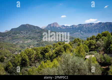 Montagnes Tramuntana à Majorque, Espagne Banque D'Images