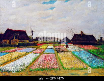 Champs de bulbes, lits de fleurs en Hollande, peinture de Vincent Van Gogh, 1883. Banque D'Images