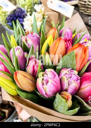 Une belle photo d'un assortiment de tulipes dans un magasin de détail Banque D'Images