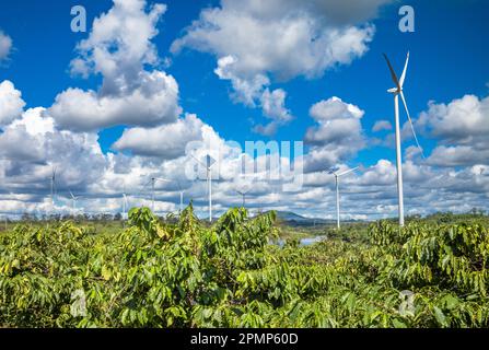 Éoliennes géantes vues derrière des caféiers qui poussent dans la province de Gia Lai, dans les Highlands centraux du Vietnam. Banque D'Images