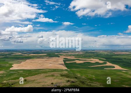 Vue sur le vaste paysage lors d'une belle journée de printemps surplombant les champs agricoles fertiles de la région de Palouse depuis le parc national de Steptep Butte ... Banque D'Images