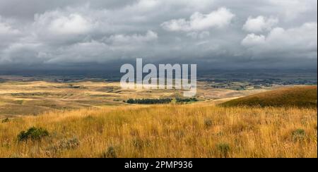 Vue sur les collines ondulantes et le temps menaçant depuis le sentier Bozeman dirigez-vous vers la I-90 près de Sheridan, Wyoming, États-Unis ; Wyoming, États-Unis d'Amérique Banque D'Images