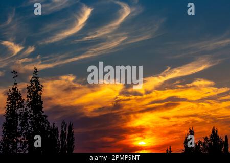 Des nuages brillants et colorés au coucher du soleil avec des silhouettes et un ciel bleu au-dessus; Calgary, Alberta, Canada Banque D'Images