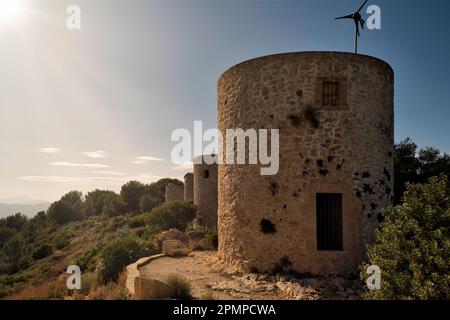 ELS Molins de la Plana de Xàbia (Jávea) anciens moulins à vent cylindriques du 14th et 18th siècle pour moudre des céréales, Alicante, Espagne, Europe Banque D'Images