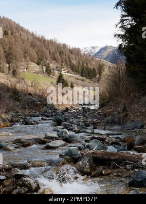 Ruisseau avec des rochers entourés de forêt. Près du village de Lignan dans la Vallée d'Aoste Italie Banque D'Images