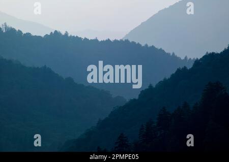 Couches silhouettées de montagnes dans les Appalaches de Newfound Gap dans le parc national des Great Smoky Mountains, Tennessee, États-Unis Banque D'Images