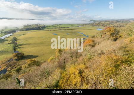 Vue sur la vallée de Towy près de Llandeilo depuis le château de Dinefwr. Woodland est dans les couleurs de l'automne avec la rivière Towy qui coule dans sa large plaine d'inondation. Carmart Banque D'Images