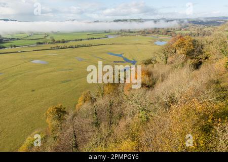 Vue sur la vallée de Towy près de Llandeilo depuis le château de Dinefwr. Woodland est dans les couleurs de l'automne avec la rivière Towy qui coule dans sa large plaine d'inondation. Carmart Banque D'Images