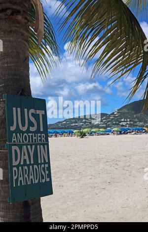 Juste un autre jour dans le signe de paradis sur le palmier à côté de la plage des Caraïbes Banque D'Images