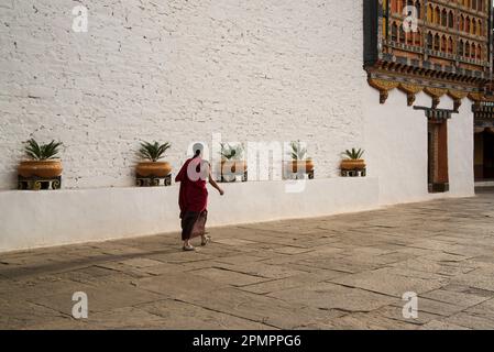 Moine à Rinpung Dzong ; vallée de Paro, Bhoutan Banque D'Images