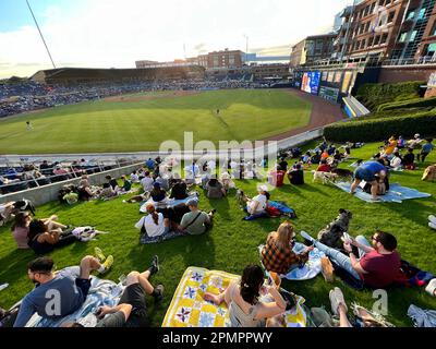 Durham, Caroline du Nord, États-Unis. 13th avril 2023. Les chiens et leurs humains aiment passer une nuit sur ''˜Home Run Hill' au Durham Bulls Athletic Park pour leur célèbre ''˜Bark in the Park'. 319 chiens ont assisté à l'événement, le premier de six cette année. L'événement a également servi d'avantage pour le plus ancien refuge de no-kill du triangle, l'adoption de PET de deuxième chance, amassant $1600. (Credit image: © Bob Karp/ZUMA Press Wire) USAGE ÉDITORIAL SEULEMENT! Non destiné À un usage commercial ! Banque D'Images