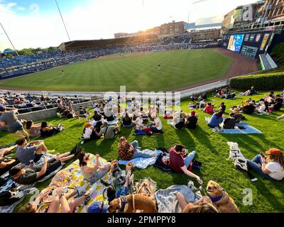 Durham, Caroline du Nord, États-Unis. 13th avril 2023. Les chiens et leurs humains aiment passer une nuit sur ''˜Home Run Hill' au Durham Bulls Athletic Park pour leur célèbre ''˜Bark in the Park'. 319 chiens ont assisté à l'événement, le premier de six cette année. L'événement a également servi d'avantage pour le plus ancien refuge de no-kill du triangle, l'adoption de PET de deuxième chance, amassant $1600. (Credit image: © Bob Karp/ZUMA Press Wire) USAGE ÉDITORIAL SEULEMENT! Non destiné À un usage commercial ! Banque D'Images