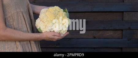 Bannière. Concept écologique avec des légumes de ferme bio dans les mains d'une fille dans une robe de lin de tissu naturel. Chou-fleur frais et cru. Ferme mes Banque D'Images