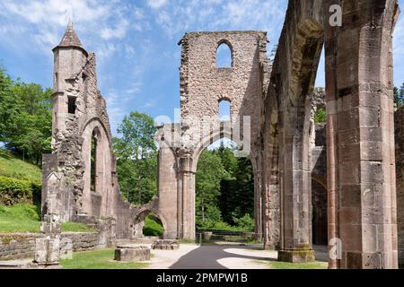 Au milieu de la ruine de l'abbaye de All Saints (Kloster Allerheiligen) dans la Forêt-Noire, en Allemagne Banque D'Images