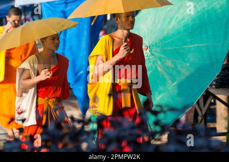 Moines avec des parapluies marchant dans la rue ; Luang Prabang, Laos Banque D'Images