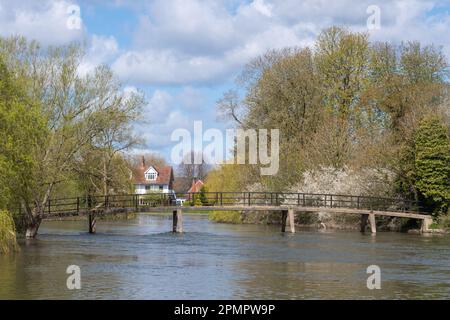 Vue printanière de la passerelle au-dessus de la Tamise lors d'une journée ensoleillée à Sonning-on-Thames, Berkshire, Angleterre, Royaume-Uni Banque D'Images