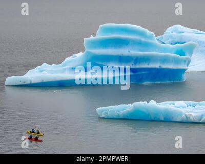 Icebergs au large de Glacier Grey qui descend du champ de glace sud de Patagonie dans le parc national de Torres del Paine ; Patagonie, Chili Banque D'Images