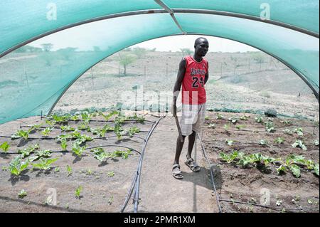 KENYA, Turkana, village Nariokotome, adaptation du changement climatique, sécheresse, de l'élevage de bétail à l'agriculteur, les gens commencent l'agriculture avec irrigation goutte à goutte / KENIA, Turkana, Dorf Nariokotome, Dürer, Anpassung an den Klimawandel, vom Viehhirten zum Accurbauern, Landwirtpfäbärm Tröscheng mit Tröbäbäscheng Banque D'Images