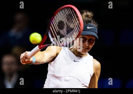 Stuttgart, Allemagne. 14th avril 2023. Tennis, femmes: Billie Jean King Cup - cycle de qualification, Allemagne - Brésil, Porsche Arena. Tatjana Maria d'Allemagne en action. Crédit : Tom Weller/dpa/Alay Live News Banque D'Images