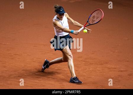 Stuttgart, Allemagne. 14th avril 2023. Tennis, femmes: Billie Jean King Cup - cycle de qualification, Allemagne - Brésil, Porsche Arena. Tatjana Maria d'Allemagne en action. Crédit : Tom Weller/dpa/Alay Live News Banque D'Images