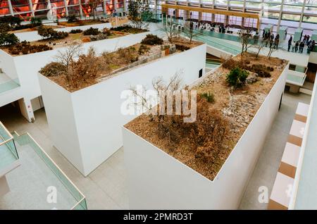 Le projet d'aménagement intérieur recrée le paysage de la Sierra de Atapuerca. Musée de l'évolution humaine - Museo de la Evolución Humana - MEH. Le Banque D'Images