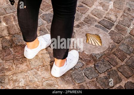 Une coquille en laiton se trouve dans le pavé d'Anvers, un marqueur pour le chemin de Saint Saint-Jacques-de-Compostelle à pied. Anvers, région flamande, Banque D'Images