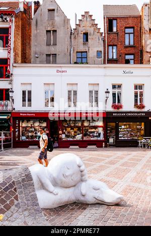 Un chien de Flandre est un roman de Marie Louise de la Ramée. Il s'agit d'un garçon flamand nommé Nello et son chien, Patrasche, et est situé à Anvers. Monume Banque D'Images