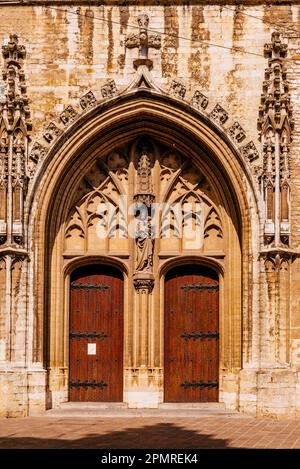 Portail dans le transept de la cathédrale Saint-Bavon. Gand, Flandre orientale, région flamande, Belgique, Europe Banque D'Images