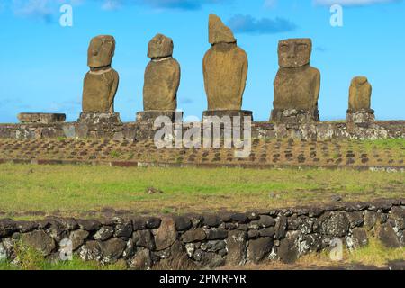 Moais dans le complexe de cérémonie de Tahai, Hanga Roa, parc national de Rapa Nui, Île de Pâques, Chili, site classé au patrimoine mondial de l'UNESCO Banque D'Images