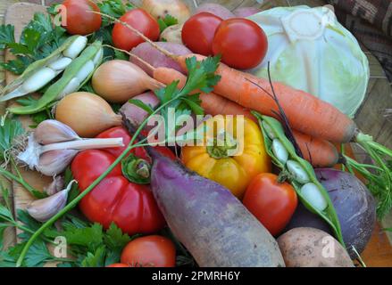 Ensemble de légumes pour la cuisson du borscht rouge Banque D'Images