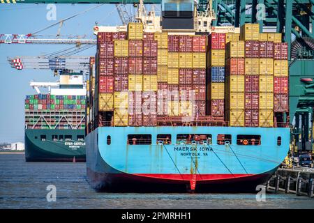 Le port d'Anvers, sur l'Escaut, est considéré comme le deuxième plus grand port maritime d'Europe, le port conteneur DP World Antwerp Gateway quai, Flandre, Belgique Banque D'Images