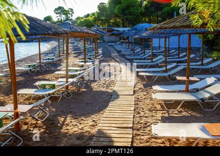 Incroyable plage de sable avec des chaises de plage, tentes à auvents de chaume) et sans pins et petits pins et des cônes de pins sur le sable et chemin en bois amond san Banque D'Images