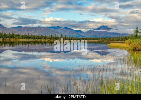 Le matin, reflet de la montagne sur un lac le long de la route Denali en Alaska Banque D'Images