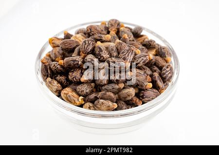 Ricinus communis - graines de ricin et fruits biologiques Banque D'Images