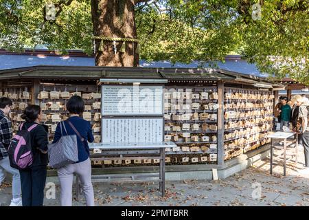 Avril 2023 Tokyo Meiji Jingu sanctuaire à l'empereur Meiji et EMA votive comprimés en bois pour les fidèles à écrire leurs prières, Japon Banque D'Images