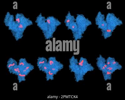 Protéine d'albumine sérique humaine avec divers ligands, illustration Banque D'Images