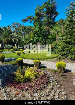 Un magnifique parc de jardin immense avec des fleurs qui poussent sur des massifs de fleurs rondes au milieu des chemins de jardin, sur un fond de palmiers tropicaux, bri Banque D'Images