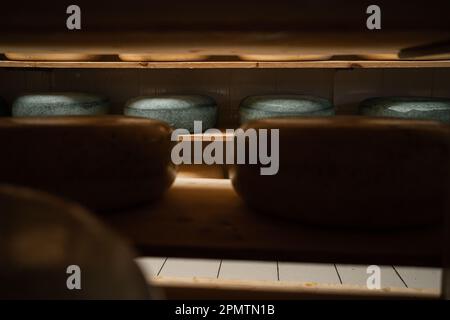 Meules à fromage affinant sur des étagères en bois, processus de mûrissement dans le stockage du fromage. Banque D'Images