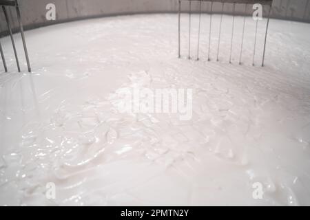 Lait dans le réservoir de préparation du lait caillé à l'usine de fromage, gros plan. Production de fromage Banque D'Images