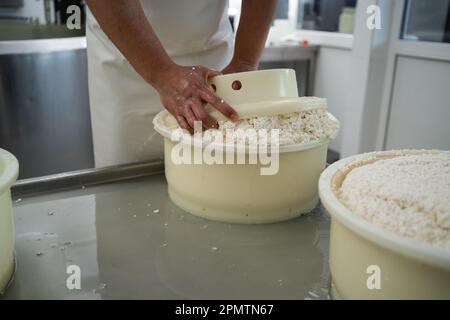 Gros plan d'un fabricant de fromage d'homme formant du fromage dans les moules en plastique de la ferme de production. Fromage espagnol traditionnel à base de lait frais de brebis. Banque D'Images