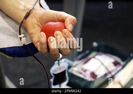 Homme donneur de sang dans la chaise pendant le don avec boule rouge bouncy en main, foyer sélectif. Concept de don, de transfusion, de soins de santé Banque D'Images